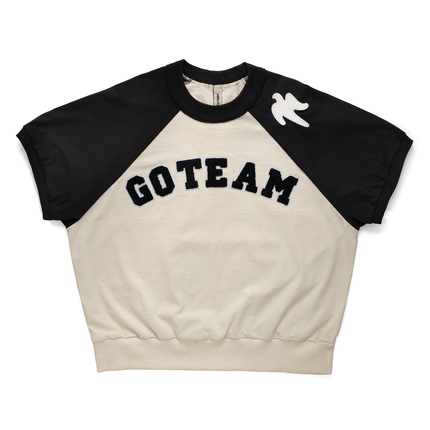 ¡GO TEAM! HYBIRD T