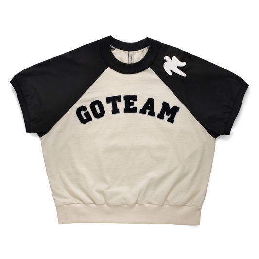 ¡GO TEAM! HYBIRD T